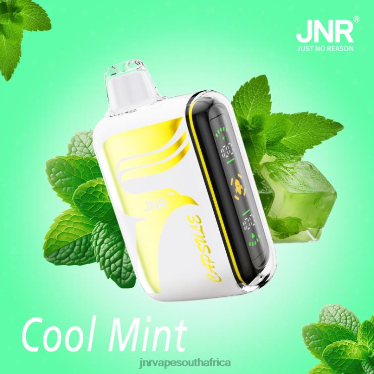 BNPFB62 JNR CAPSULE Cool Mint - JNR Vape Review