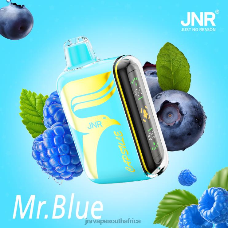 BNPFB64 JNR CAPSULE Mr.Blue - JNR Vapes Factory