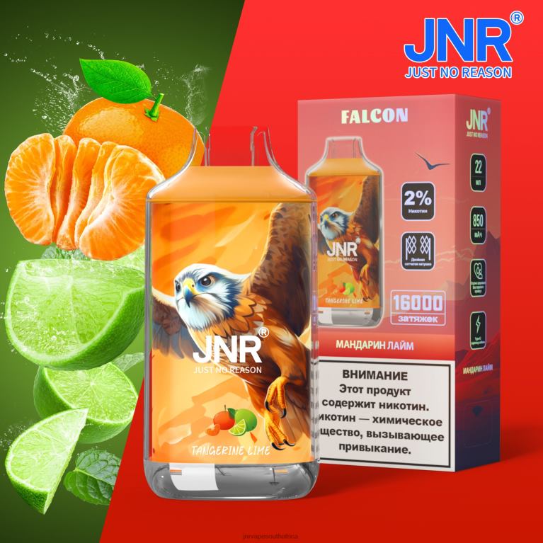8FT4P208 JNR FALCON Tangerine Lime - JNR Vape Flavours