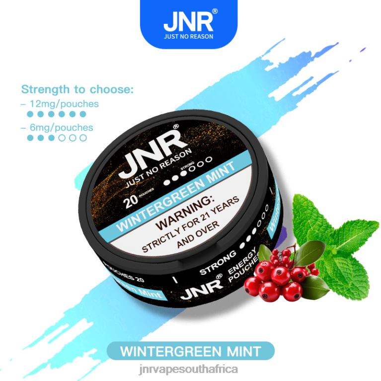 8FT4P106 JNR ENERGY POUCHES Wintergreen Mint - JNR Vape Shop